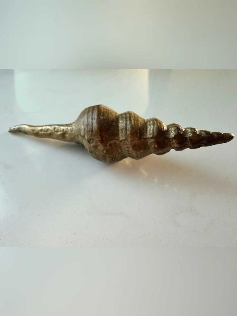Brass Cottage Core Decorative Shell Home Accent